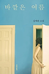바깥은 여름 (김애란 소설)