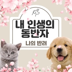 내 영혼의 반려