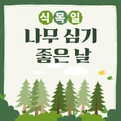 민둥산을 숲으로 만든 숨겨진 영웅, 현신규 박사