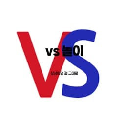 VS 놀이