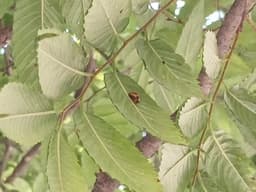 시,초보자는 어디까지 가능할까