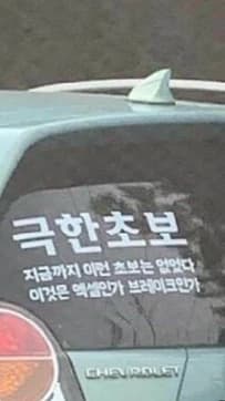 대환장 일상물
