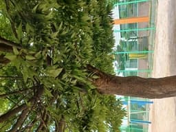 정신나간 인간의 일상